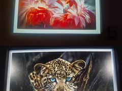 -罗红摄影艺术馆