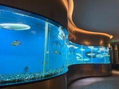 -碧涛阁水世界酒店·洗浴·自助(万家丽路店)