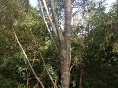 -北京十三陵国家森林公园蟒山景区