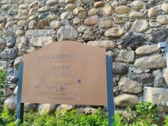 -遥桥古堡