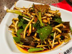 开胃折耳根-小山城·馋嘴蛙(亚运村店)