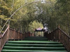 -陶祖圣境风景区