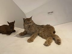 -重庆自然博物馆(新馆)