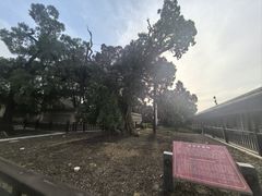 -仓颉庙