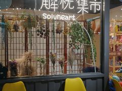 -解忧集市(北京路天河城店)