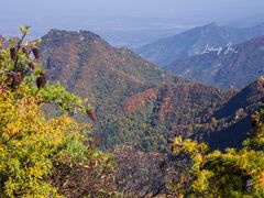 -秦岭风景区