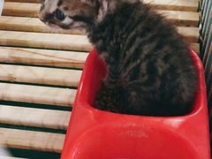 -中影国际影城(大唐西市4K临境音店)