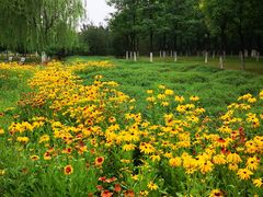 -永定河休闲森林公园