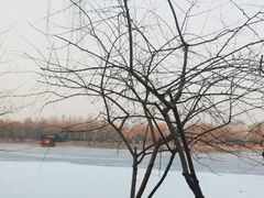 -河北省园博园