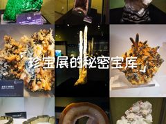 -中华赏石园