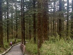 -峨眉山风景名胜区