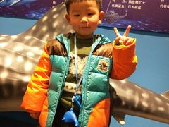 -多彩贵州城极地海洋世界