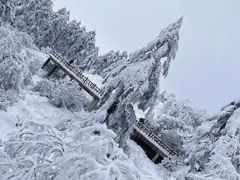 -瓦屋山景区