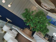 -CoCo都可(中联广场店)