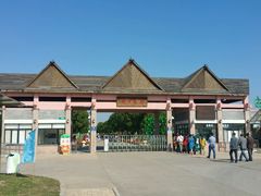 -上海都市菜园