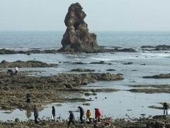 -石老人观光园