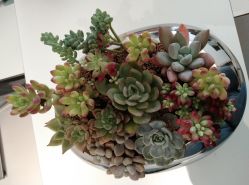 -颜蕾医美·黄金微针·水光·玻尿酸·超声炮·抗衰中心