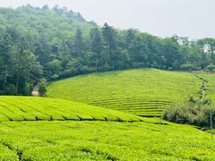 -敬亭山风景名胜区