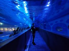 -成都浩海立方海洋公园