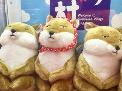 -LLJ夹机占(正佳广场店)