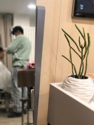 -AFA Hair studio·女士发型设计