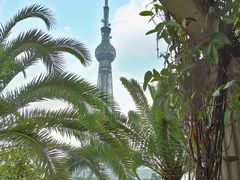 -文华公园(禅城区)