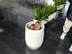 -陆家嘴世纪金融广场