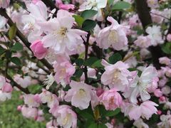 -洋湖国家湿地公园