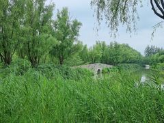 -翠湖国家城市湿地公园