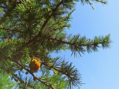 -白草畔自然风景区