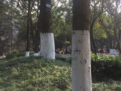 -龙头寺公园
