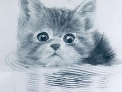 -黑骏画室·深圳美术中高考黄埔军校