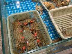 -木柴豆腐·活海鲜·鲁菜(岚山路店)