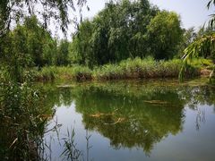 -门城湖公园