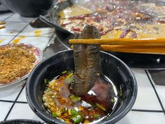 现划鳝鱼-铜元老码头鳝鱼火锅