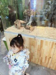 -神奇动物撸宠馆·羊驼·小浣熊·异宠(豫园店)