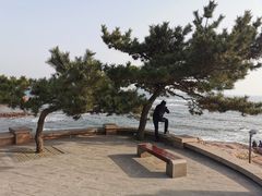 -青岛第二海水浴场