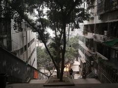 -蒋六十八梯眼镜面(渝中店)