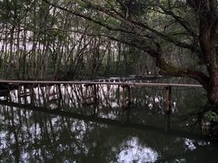 -西溪南古村落景区