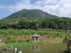 -广州市石门国家森林公园