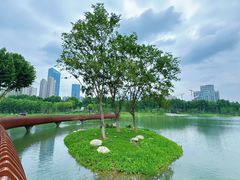 -后襄河公园