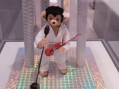 -济州岛泰迪熊博物馆