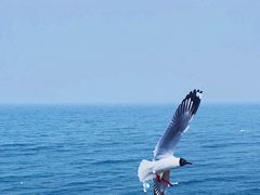 -青海湖二郎剑景区