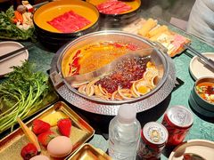 -牛New寿喜烧(金鹰世界店)