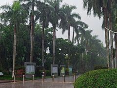 -万绿园