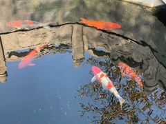 -西安市广仁寺