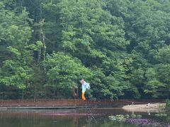 -洛阳白云山景区