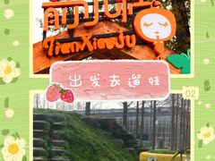-前小桔亲子创意农场·草莓采摘·露营烧烤