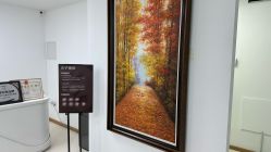 -薇兰专业脱毛连锁机构