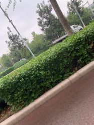 -HEYAN长风荷妍专业脱毛美肤
